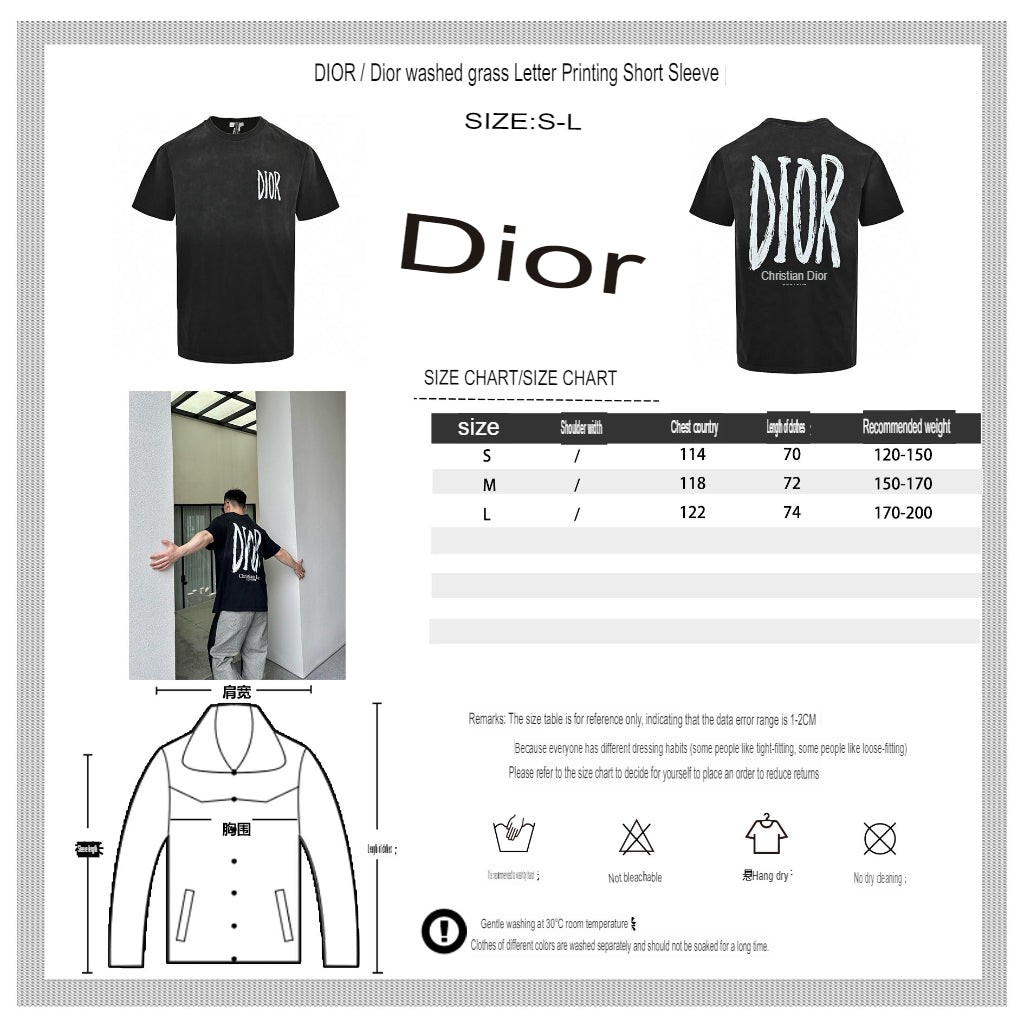 Dior Logo T-Shirt (Black)