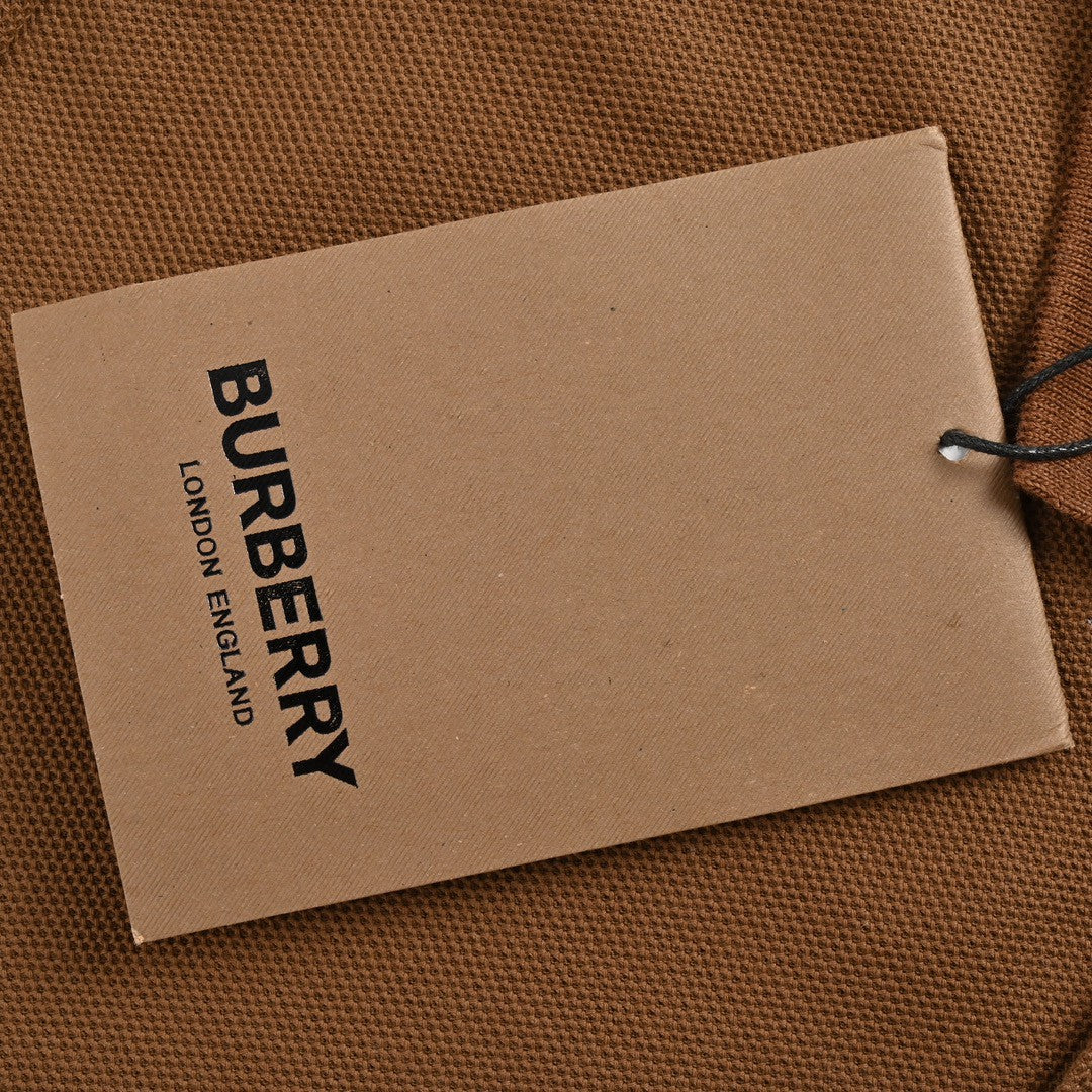 Burberry Striped Collar Polo Shirt in Brown