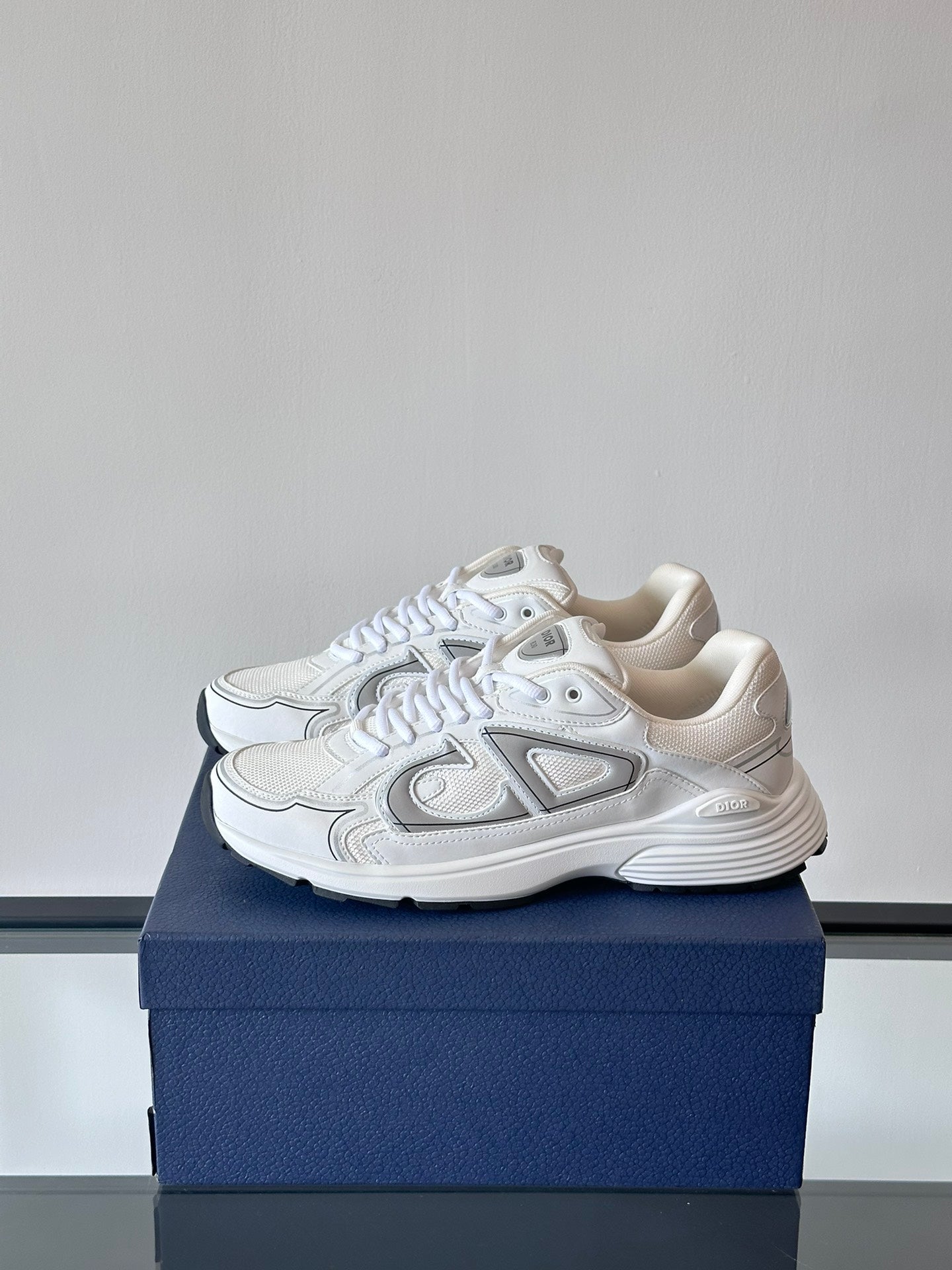 DIOR B30 WHITE