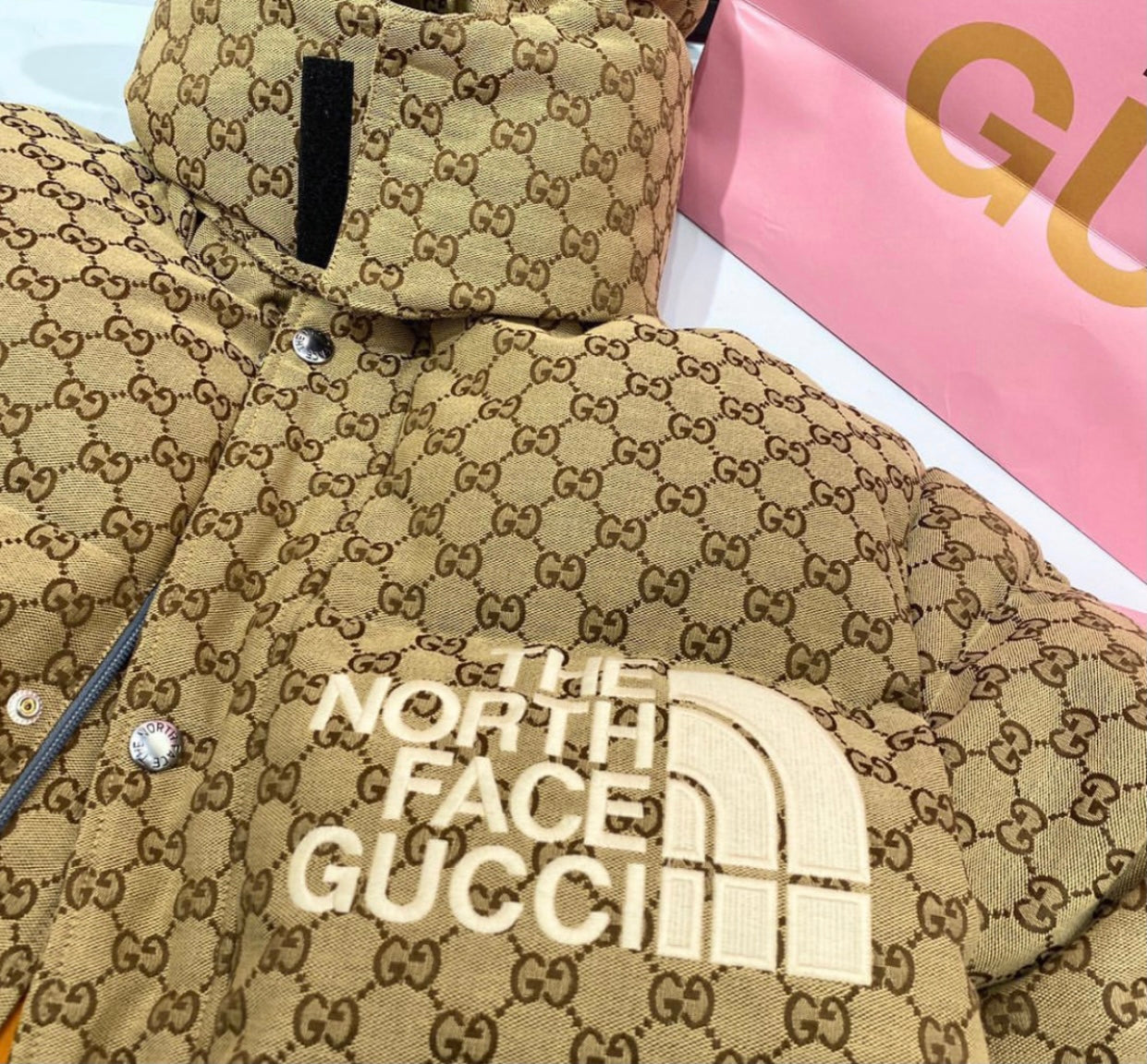 The North Face x Gucci Jacket