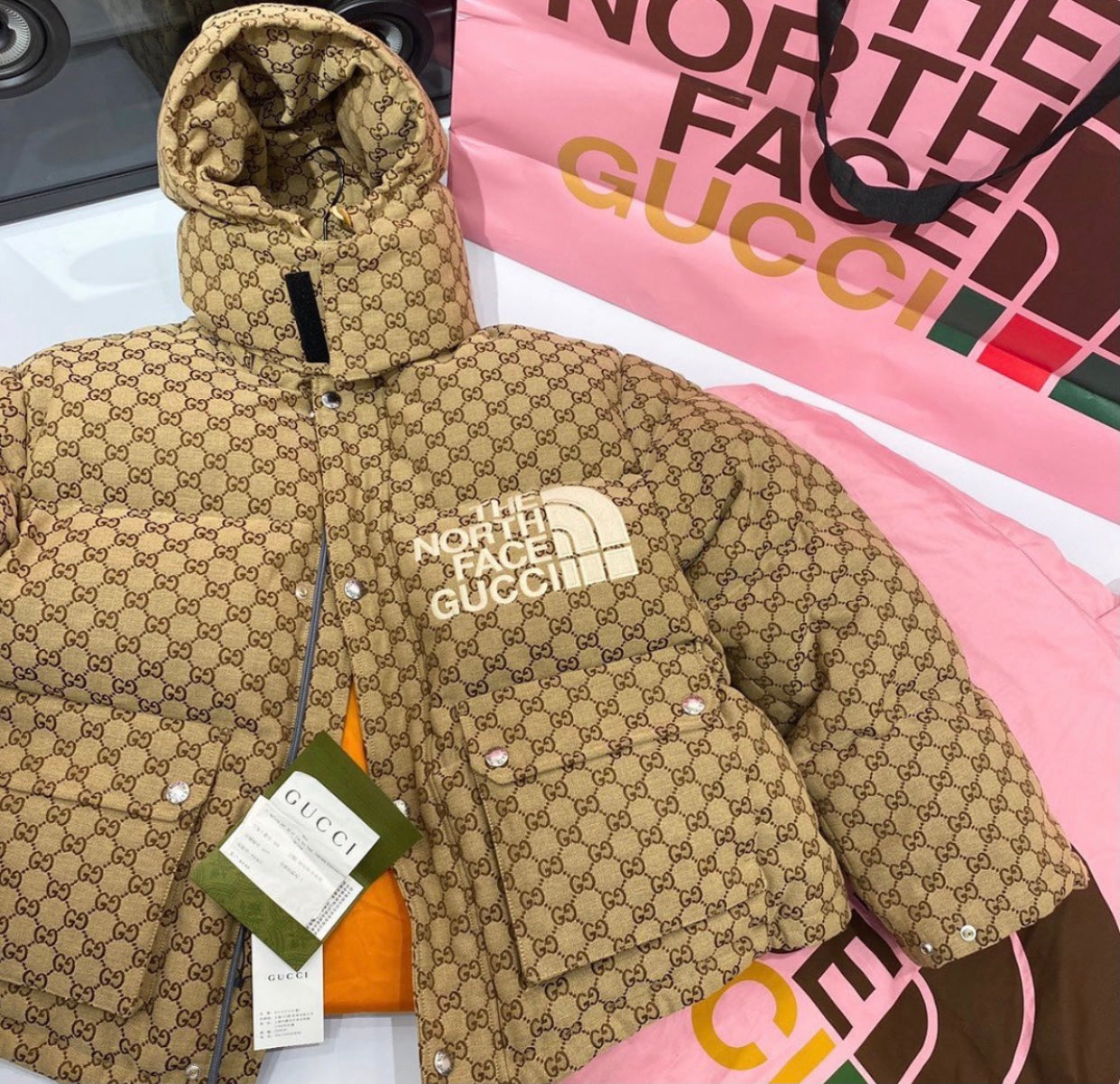 The North Face x Gucci Jacket