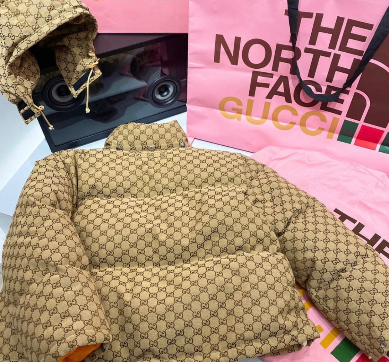 The North Face x Gucci Jacket