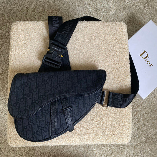 Saddle Dior