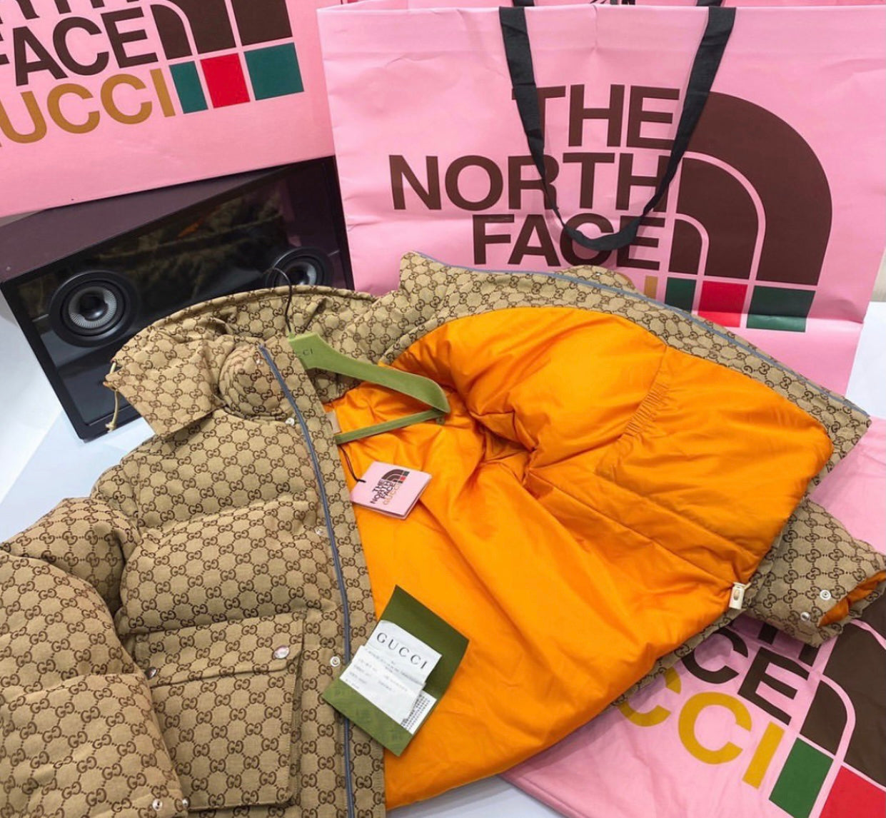 The North Face x Gucci Jacket